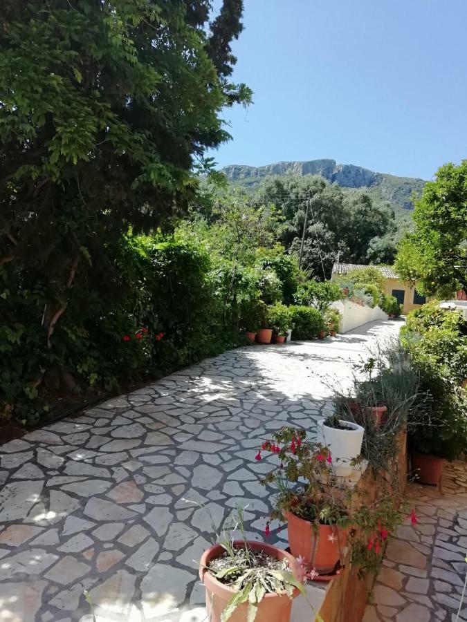 Apartment Marilena And Paleokastritsa